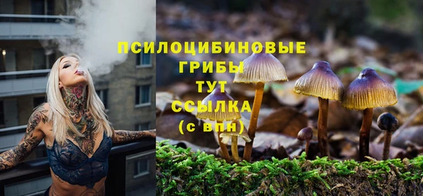 apvp Пересвет