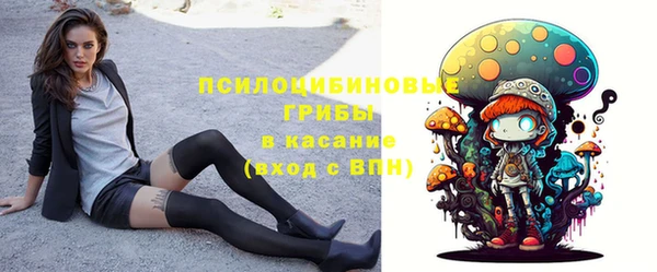 mix Пестово